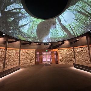 Global Center for Species Survival