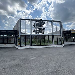 Chimpanzee Community Hub - International Chimpanzee Complex