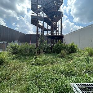 Chimpanzee Community Hub - International Chimpanzee Complex