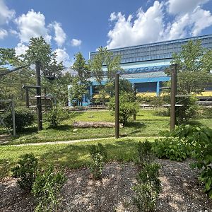 Chimpanzee Cognition Center - International Chimpanzee Complex