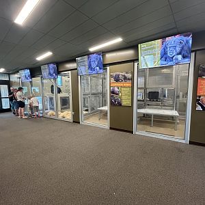 Chimpanzee Cognition Center Bedrooms - International Chimpanzee Complex