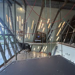 Main Orangutan Exhibit - International Orangutan Center