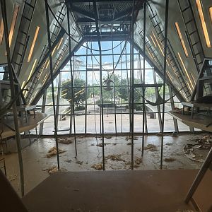 Main Orangutan Exhibit - International Orangutan Center