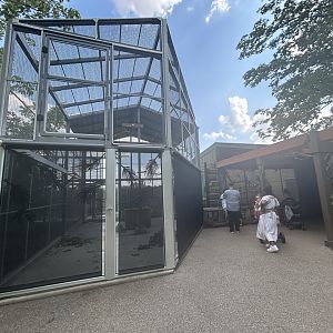 Macaw Aviary (6 Species) - Forests