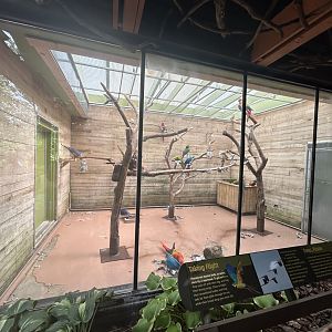 Indoor Macaw Exhibit (6 Species) - Forests