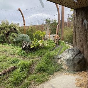 Second Sumatran Tiger enclosure