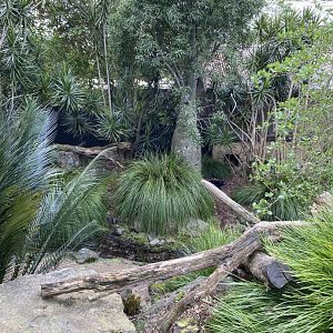 First half of Tasmanian Devil enclosure