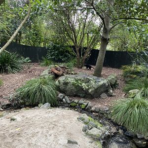 Second half of Tasmanian Devil enclosure