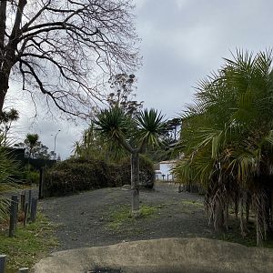 Galapagos Giant Tortoise enclosure