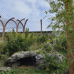 Maternity Sumatran Tiger enclosure