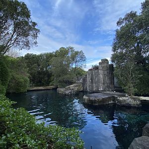 New Zealand Fur Seal enclosure