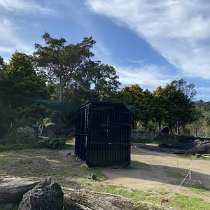 Asian Elephant Crate