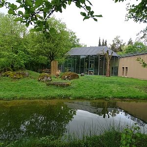 Lion House: Lion outdoor enclosure with lion house in the back