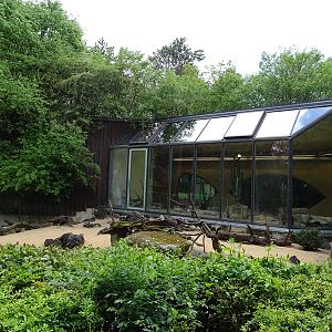 Lion House: Fennec outdoor enclosure