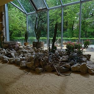 Lion House: Fennec indoor enclosure