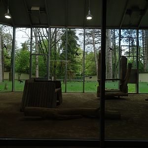 Lion House: Striped heyna indoor enclosure