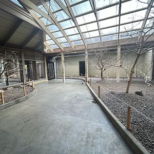 Lorikeet Aviary - Flights of Fancy