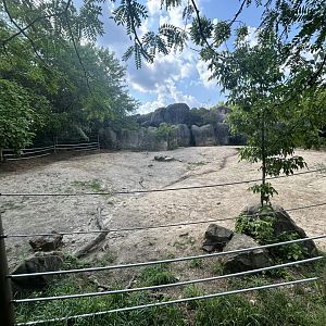 White Rhino Exhibit - Plains