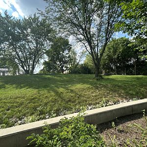 African Elephant Exhibit #1 - Plains