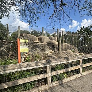 Guinea Baboon Exhibit - Plains