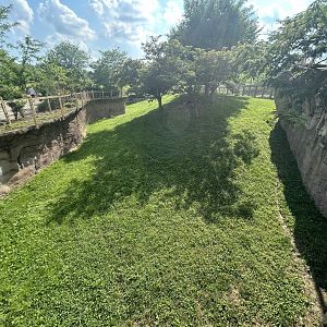 Cheetah Exhibit - Plains