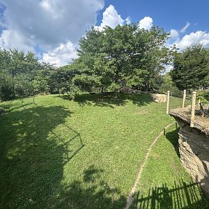 Cheetah Exhibit - Plains