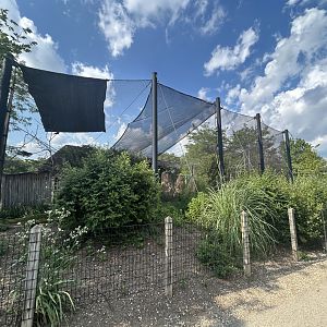 Africa Aviary (3 Species) - Plains