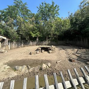 Warthog & Cape Porcupine Exhibit - Plains
