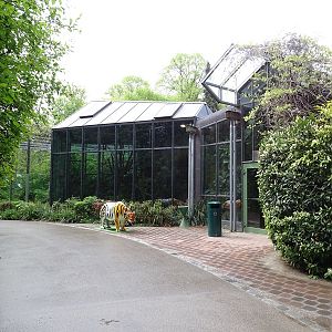 Tiger + Nocturnal House