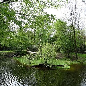 Tiger + Nocturnal House; tiger outdoor enclosure
