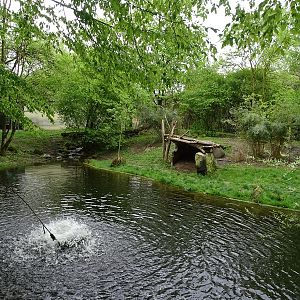Tiger + Nocturnal House; tiger outoor enclosure