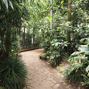 Walkway in Jungle Trail, 2024-05-23