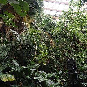 View in Jungle Trail, 2024-05-22