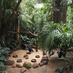 Feeding area in Jungle Trail, 2024-05-22