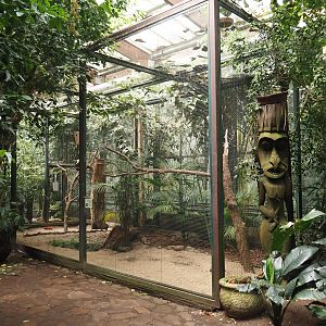 Great hornbill aviary, 2024-05-23