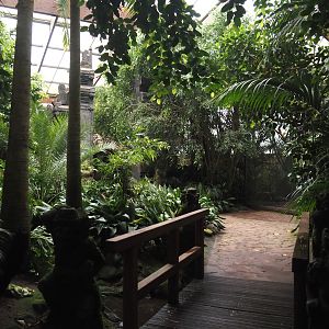 View in Jungle Trail, 2024-05-22