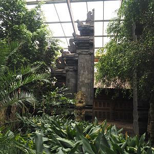 Temple and hut area in Jungle Trail, 2024-05-22