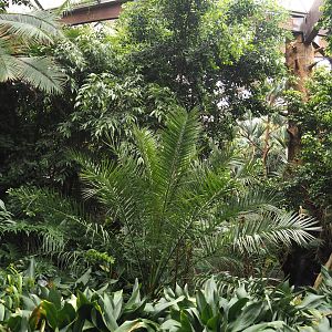 View in Jungle Trail, 2024-05-22