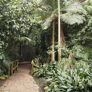 View in Jungle Trail, 2024-05-23