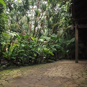 View in Jungle Trail,  2024-05-22