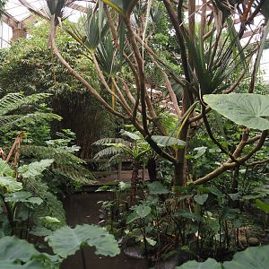 View in Jungle Trail,  2024-05-22