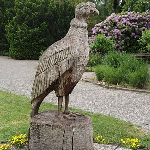 Andean condor wood carving, 2024-05-21