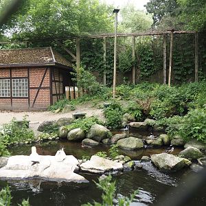 Seabird and Seaduck aviary, 2024-05-21