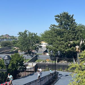 New Tasmanian Devil Holding