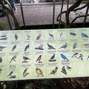 Scripp’s Aviary Signage