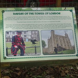 Raven signage, 16th October 2023