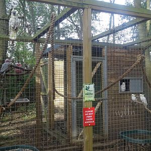 Cockatoo aviary, 16th October 2023