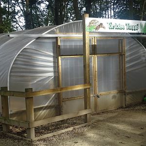 Tortoise Tunnel, 16th October 2023