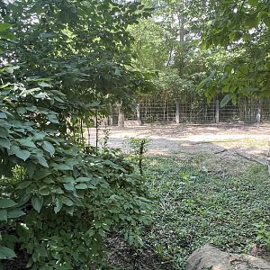 Black Rhinoceros/Sacred Ibis Exhibit
