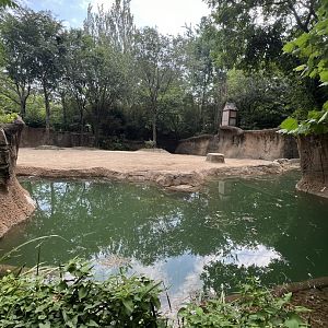 Asian Elephant Exhibit